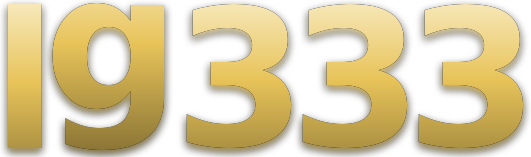 lg 333 logo